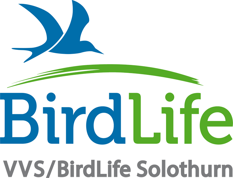 Logo VVS/BirdLife Solothurn