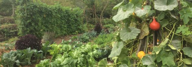 Garten