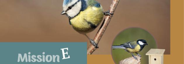 Mission E