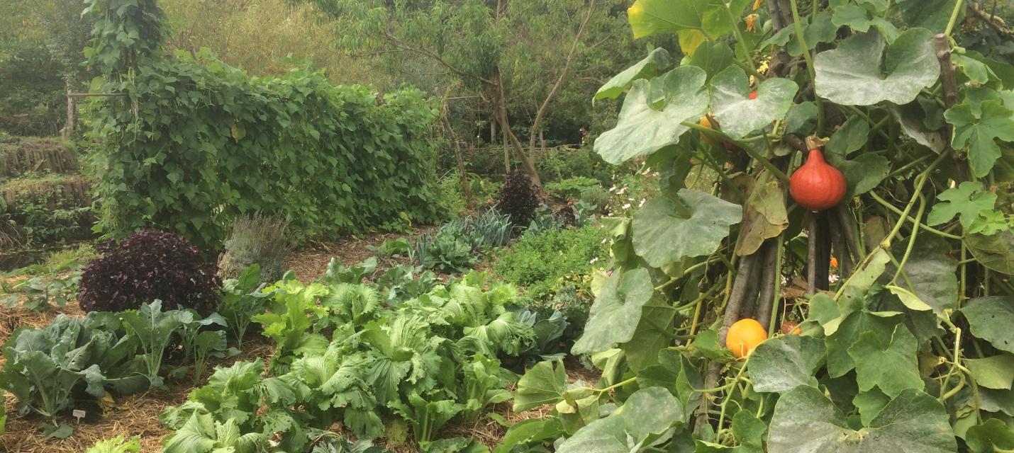 Garten