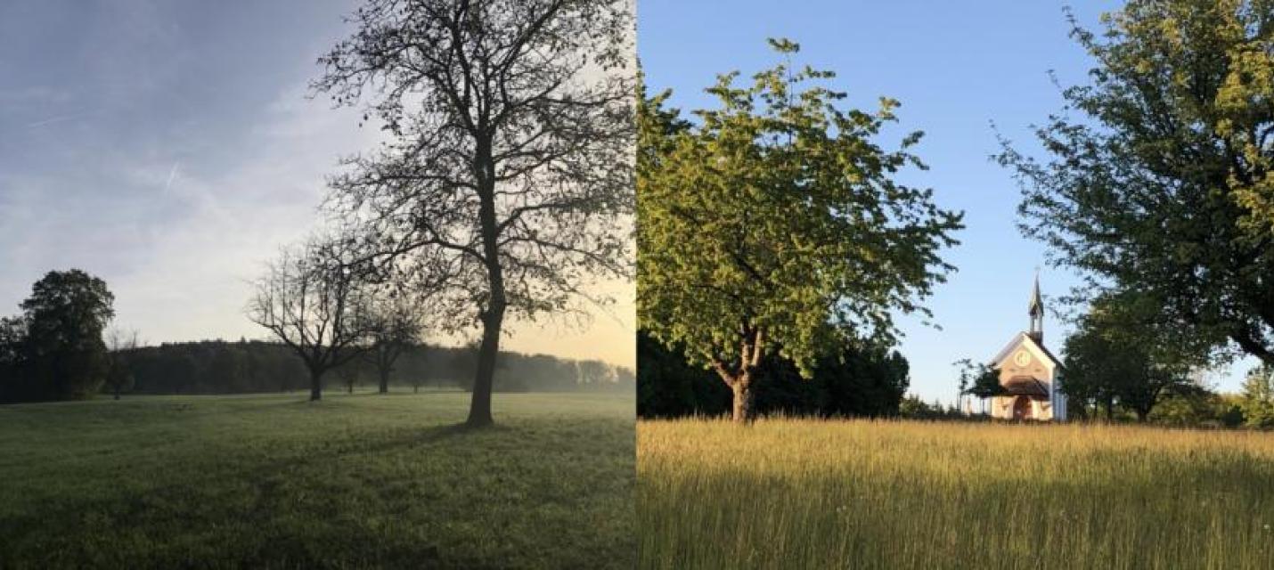Eveline Schärli-Fluri