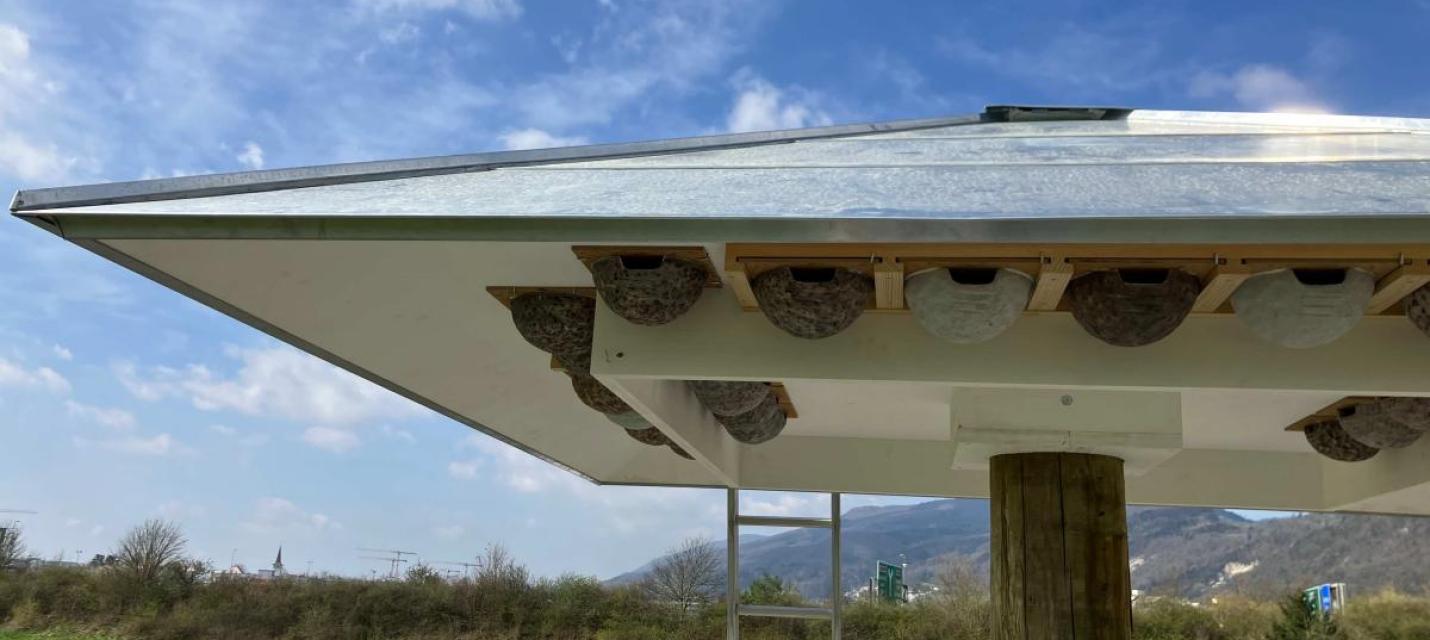 Schwalbenturm Mattenhof